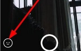 重庆荣昌人气爆棚）